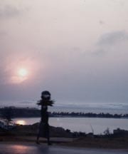 Woman carrying wood at sunset