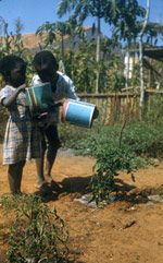 Children watering plants with tin cans